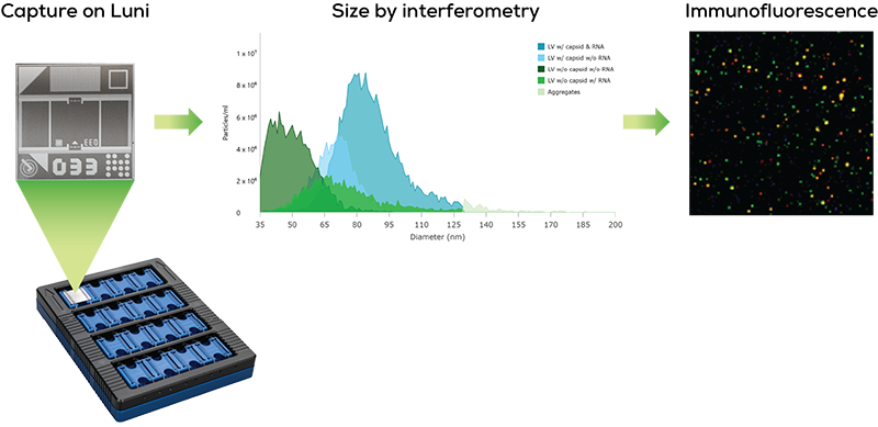 Exosome graphic_web_2_web