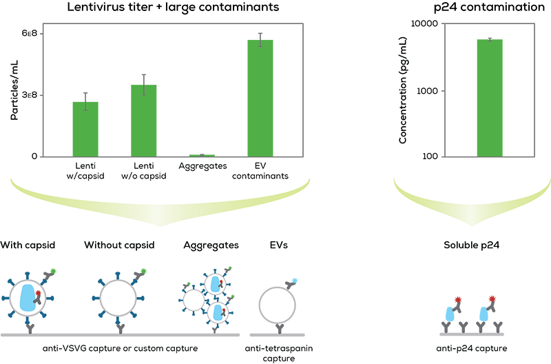 lentivirus-graphs_v3_web