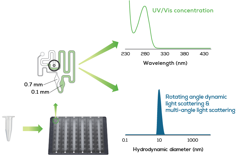 stunner_workflow_Biologics_web