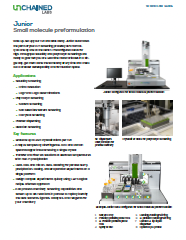 Junior Small Molecule Preformulation Workflow Guide