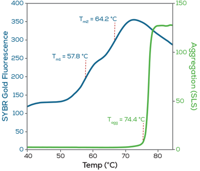 capsid@2x