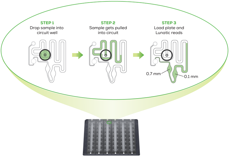 lunatic-channel-diagram-trans-2