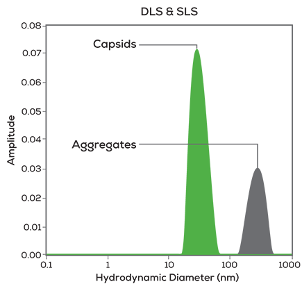 DLS_SLS_UV_Vis-graphs-1