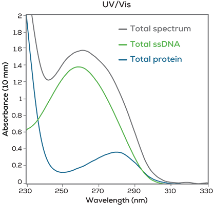 DLS_SLS_UV_Vis-graphs-2